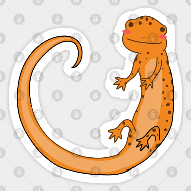 Cute Happy Newt Salamander Smiling Drawing Illustration Happy